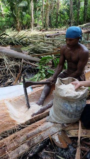Kelezatan Sagu Warisan Alam Papua