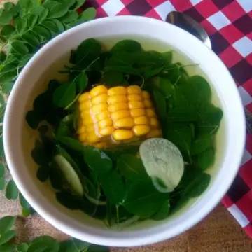 Tips Manfaat Daun Kelor Untuk Kesehatan Tubuh