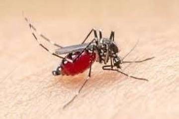 Tekan Malaria, Puskesmas Kalibumi Gencarkan Pemeriksaan Darah Massal 