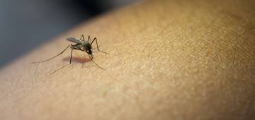 Penolakan Pemeriksaan Darah Jadi Tantangan Kalibumi Pengendalian Malaria