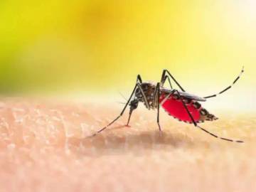 Musim Hujan Tingkatkan Risiko Malaria, Warga Diminta Waspada