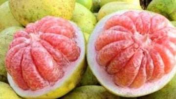 Jeruk Bali Mudah Diolah Jadi Menu Nikmat