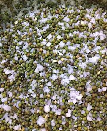 Manfaat Kacang Hijau dan Garam Bagi Kesehatan