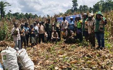 TMI PT Panen Jagung 2 Hektar di Nabire