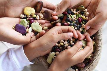 10 Februari, Hari Kacang-Kacangan Sedunia