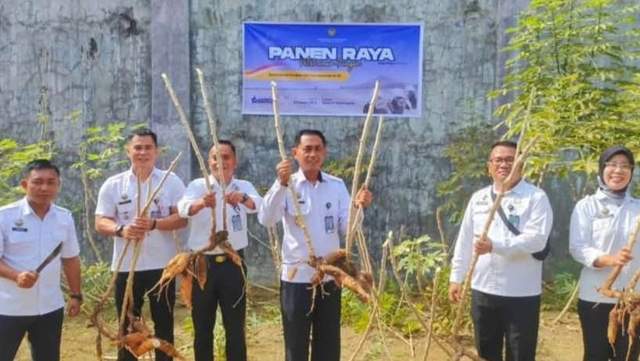 Panen Raya Serentak, Lapas Telda Panen 50Kg Singkong