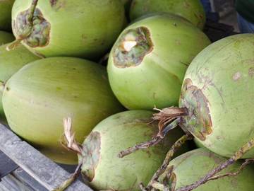 Manfaat Air Kelapa Kaya Khasiat untuk Kesehatan Tubuh