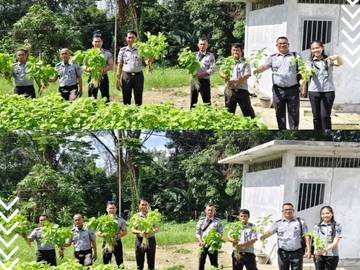 Panen Bayam di Lahan Pertanian Lapas Teluk Dalam