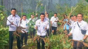 Panen Singkong di Lapas Kelas III Teluk Dalam