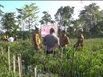 Wabup Nisel: Swasembada Pangan Tercapai Jika Ada Kolaborasi