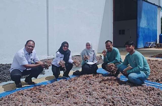 KKP Permudah Ekspor Perikanan dengan Sertifikasi Terintegrasi