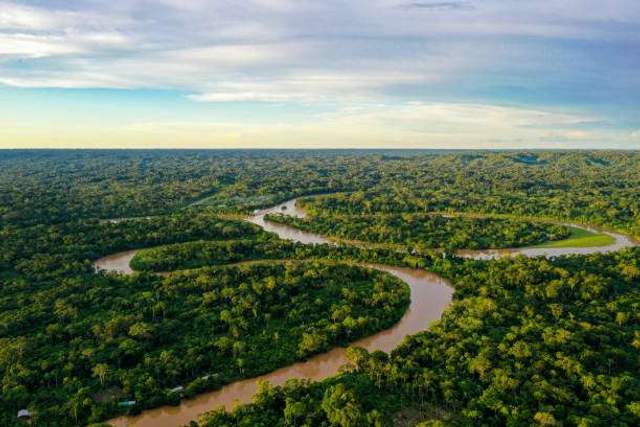 Fenomena Hutan Amazon yang Berubah Menjadi Mesin Pemanas 