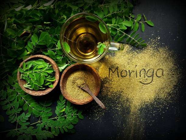 Daun Kelor ‘Superfood’ Dunia yang Sering Diremehkan