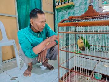 Hadiah Kecil, Lomba Burung Berkicau di Nunukan Kurang Diminati