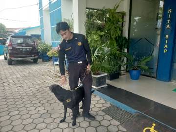 Cegah Narkoba, Bea Cukai Nunukan Kerahkan Anjing Pelacak