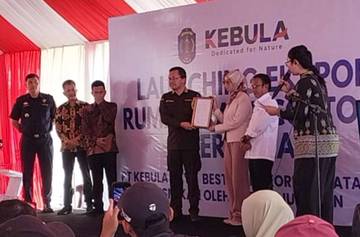 PT Kebula Genjot Kualitas Rumput Laut untuk Ekspor