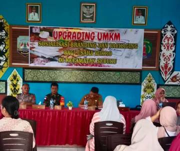 Pemerintah Dorong UMKM Sebuku Kuasai Branding Produk