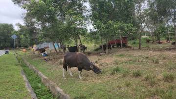 Pemda Nunukan Dorong Pengusaha Kantongi Sertifikasi NKV