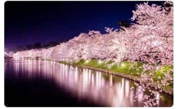 Aomori, Prefektur di Jepang dengan Keindahan Sepanjang Tahun