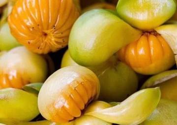 Dengen, Buah Langka dari Timur Indonesia