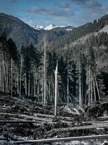 Misteri Ledakan Tunguska pada Tahun 1908 di Siberia