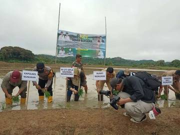 Pulau Nunukan Belum Bisa Melakukan Swasembada Pangan 