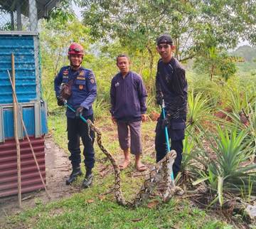 Disdamkar Nunukan Tangani 529 Kasus non-kebakaran Sepanjang 2025