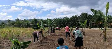 Dukung Ketahanan Pangan, Polsek Nunukan Tanam Jagung Pipil