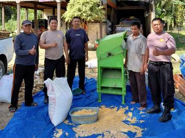 Jagung Perbatasan Perkuat Ketahanan Nasional