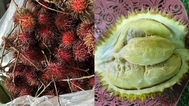 Alasan Musim Durian dan Musim Rambutan Datang Bersamaan