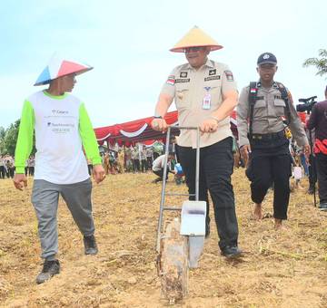 Pemko Padang Siap Dukung Optimalisasi Penanaman Jagung