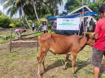 Kurban 2025, Asar Humanity Sumbar Sasar Daerah Pelosok