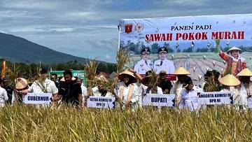 Kementan Diminta Segera Sertifikasi Sawah Pokok Murah