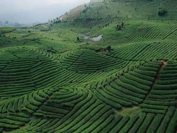 Menjelajah Kayu Jao, Surga Wisata di Solok