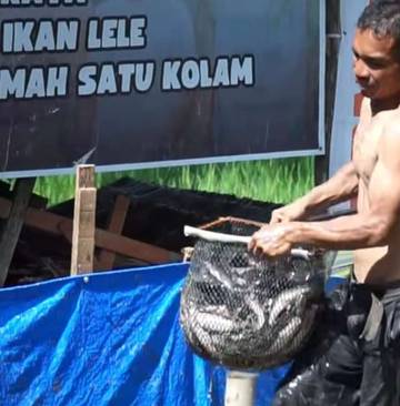 RPN Sumbar Akan Bentuk Budidaya Ikan Lele