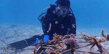 Terumbu Karang Pulau Pieh Pulih 97 Persen