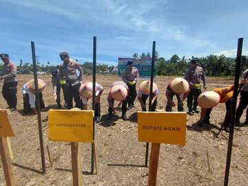 Agam Dukung Swasembada Pangan Lewat Penanaman Jagung