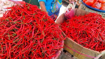 Harga Cabai di Padang Awal November Masih Stabil