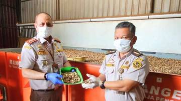 Nilai Ekspor Sumbar Meningkat, Buah-buahan Pendorong Utama 