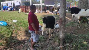 Tips Beternak Kambing Agar Produktif dan Menguntungkan