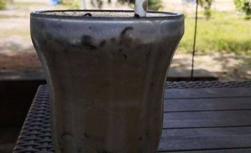 Tips Nikmati Cappuccino Enak di Pinggir Pantai