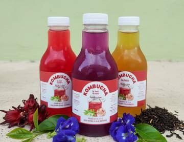 Kombucha, Minuman Fermentasi Teh Kaya Manfaat
