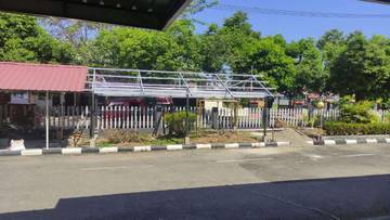Pentingnya Menanam Pohon Demi Kelestarian Lingkungan Hidup