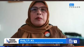 Kerugian Petani Padi Diperkirakan Rp118 Miliar Akibat Bencana
