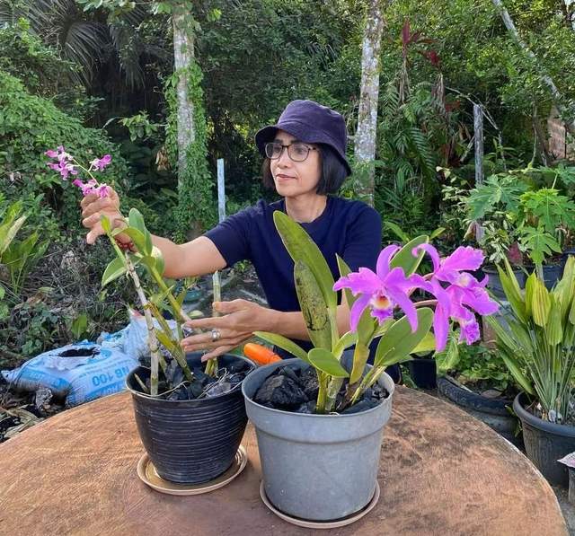Berbagi Cerita dengan Alam Lewat Hobi Menanam Anggrek