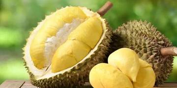 Fakta Unik dan Menarik tentang Buah Durian