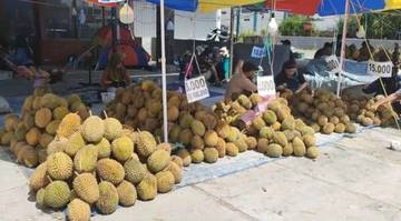 Durian Kasongan Mulai Banjiri Palangka Raya 