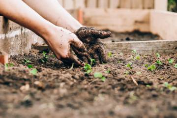 Hobi Berkebun Memberi Manfaat untuk Kesehatan