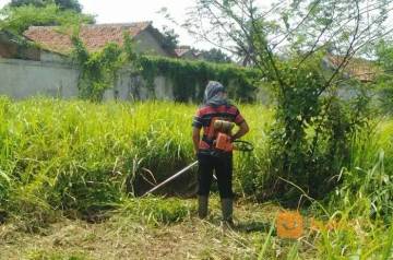 Jadi Tukang Rumput, Pilihan Profesi yang Tetap Menjanjikan