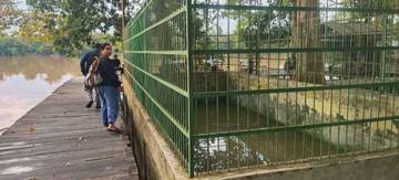 Melihat Buaya, Daya Tarik Pengunjung Berwisata Ke Kumkum
